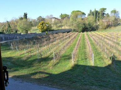 2025/11/03 Colle umberto Proc. 221/2019, Lotto 4