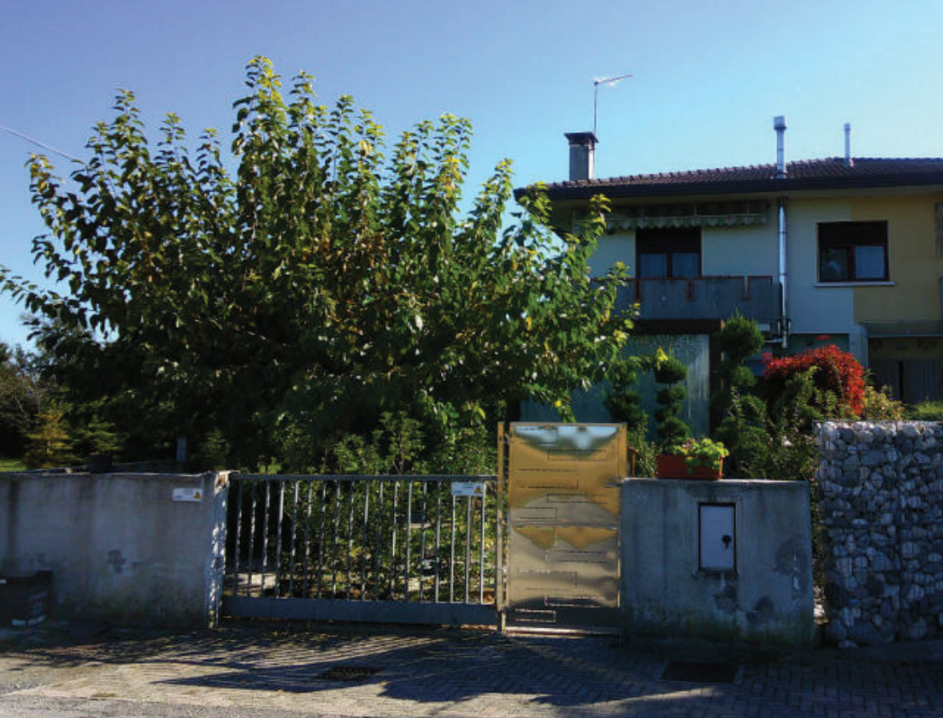 2026/10/06 Riese pio x Proc. 338/2024