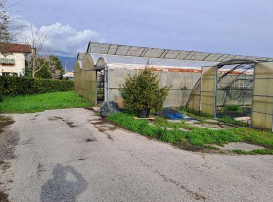 2025/10/07 Vittorio veneto Proc. 467/2022