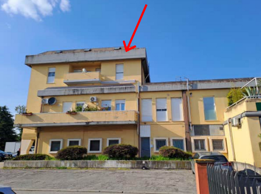 2025/09/30 Riese pio x Proc. 17/2024, Lotto 2