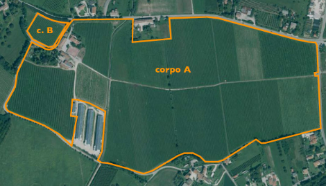 2025/11/03 Colle umberto Proc. 221/2019, Lotto 4