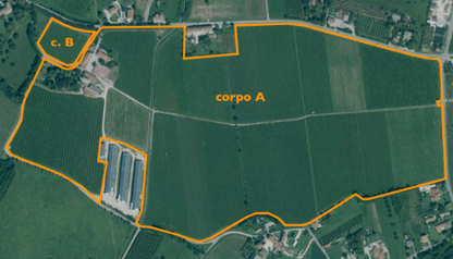 2025/11/03 Colle umberto Proc. 221/2019, Lotto 4