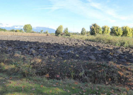 2025/11/12 San vendemiano Proc. 388/2021, Lotto 3