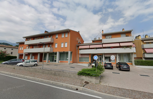 2026/01/27 Tarzo Proc. 163/2024
