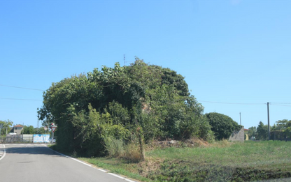 2026/02/27 Annone veneto Proc. 73/2024, Lotto 2
