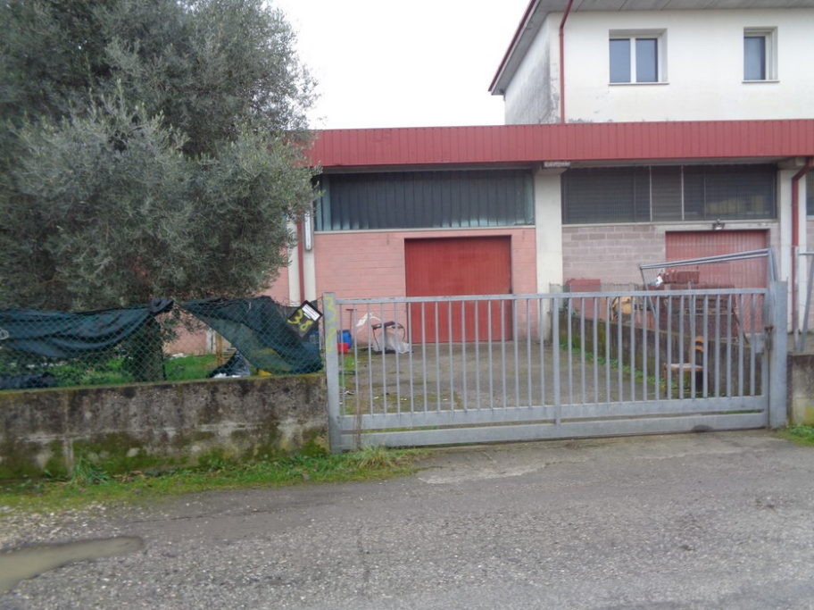 2026/03/18 Villorba Proc. 365/2023