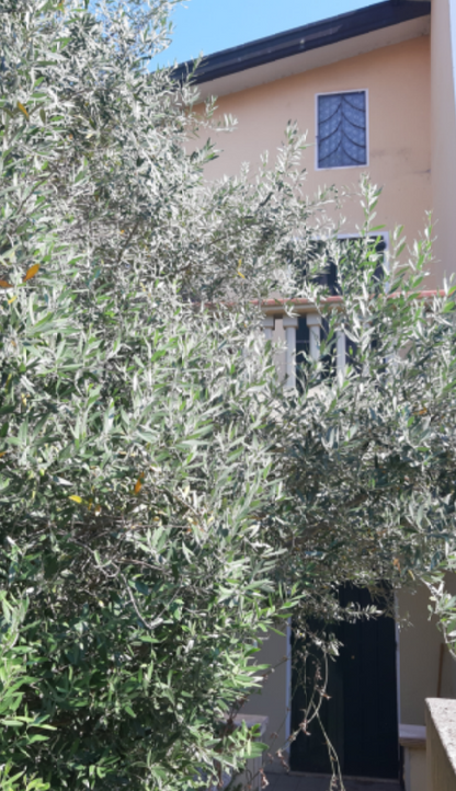 2026/03/19 Dolo Proc. 1136/2021