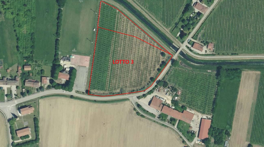 2026/05/19 Oderzo Proc. 568/2019, Lotto 3