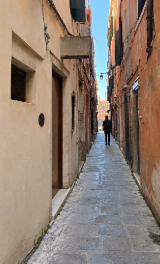 2026/12/15 Venezia Proc. 195/2024, Lotto 2